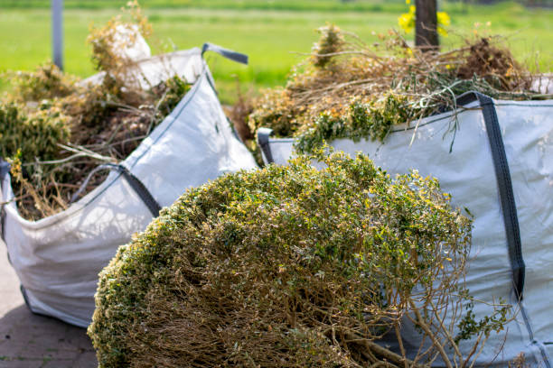 Best Office Junk Removal  in Manchester, VA
